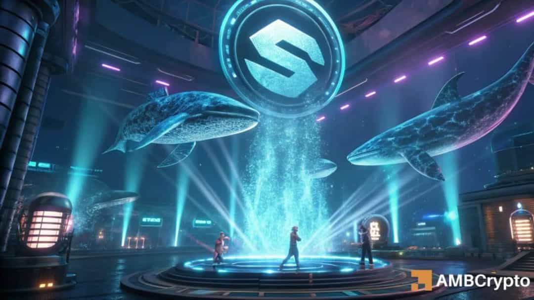 نهنگ ها کف SOL/USDT را در 130 دلار می بینند؟