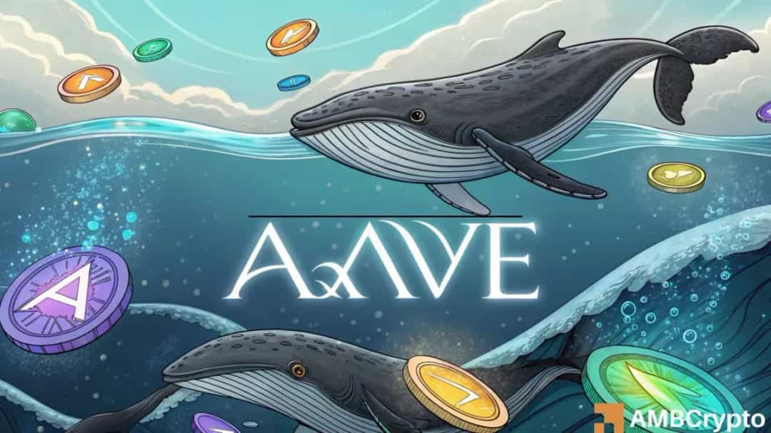 AAVE: آیا نهنگ 15.07M$ می‌تواند راه تا $336 را هموار کند؟