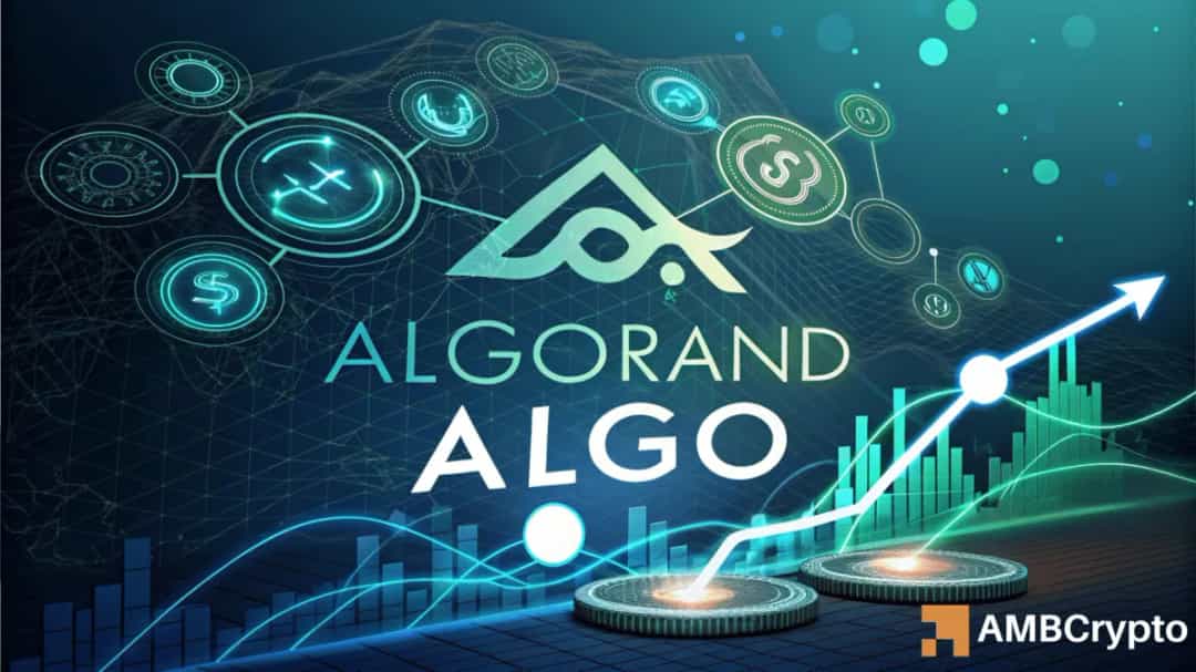 نقطه عطف ۰.۳۸ دلاری Algorand؛ ۷۵٪ از آدرس‌های فعال در این سطح تجمع کرده‌اند