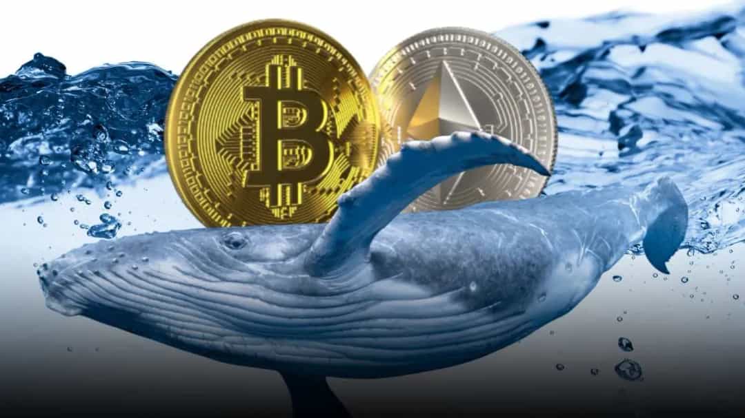 نهنگ ها اتریوم می خرند، بیت کوین می فروشند؛ BTC/USD زیر ذره بین