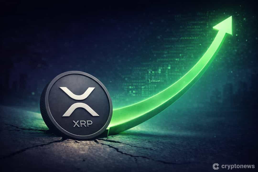 فعال شدن Permissioned Domains در XRPL؛ گامی بزرگ برای XRP