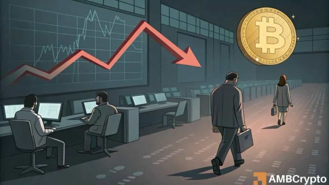 انتقال بیت کوین به کیف پول‌های خصوصی؛ نهنگ‌ها در اوج قیمت چه می‌کنند؟