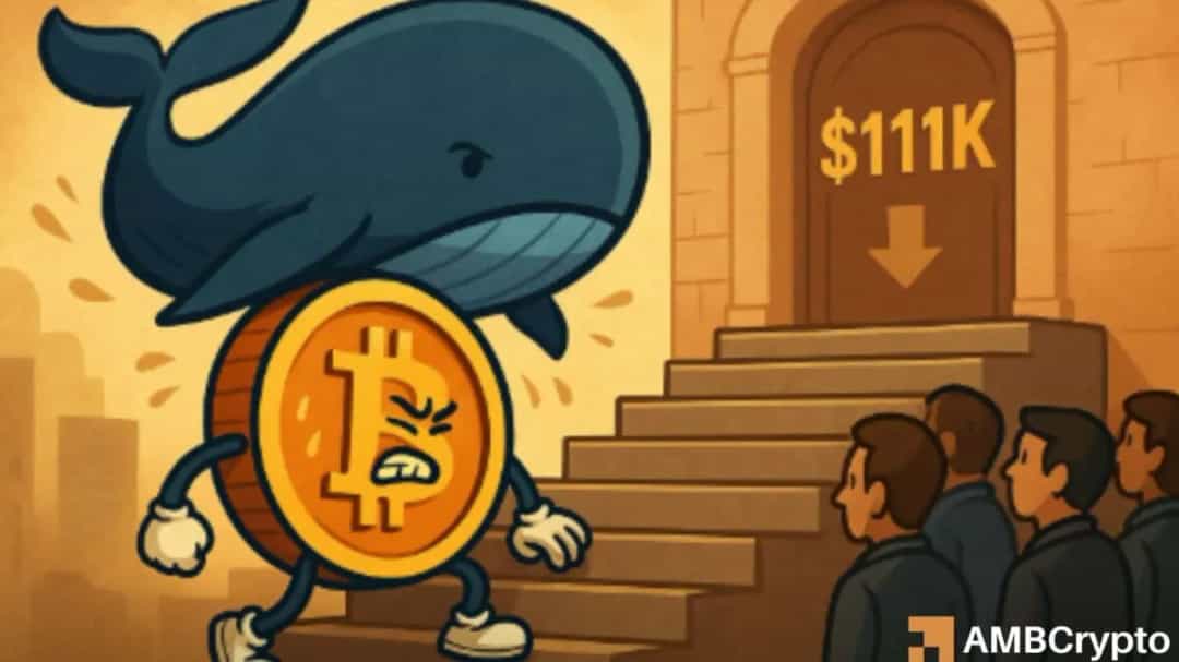 چرا با وجود ورود میلیادها دلار به ETF، قیمت بیت کوین رشد نمی‌کند؟