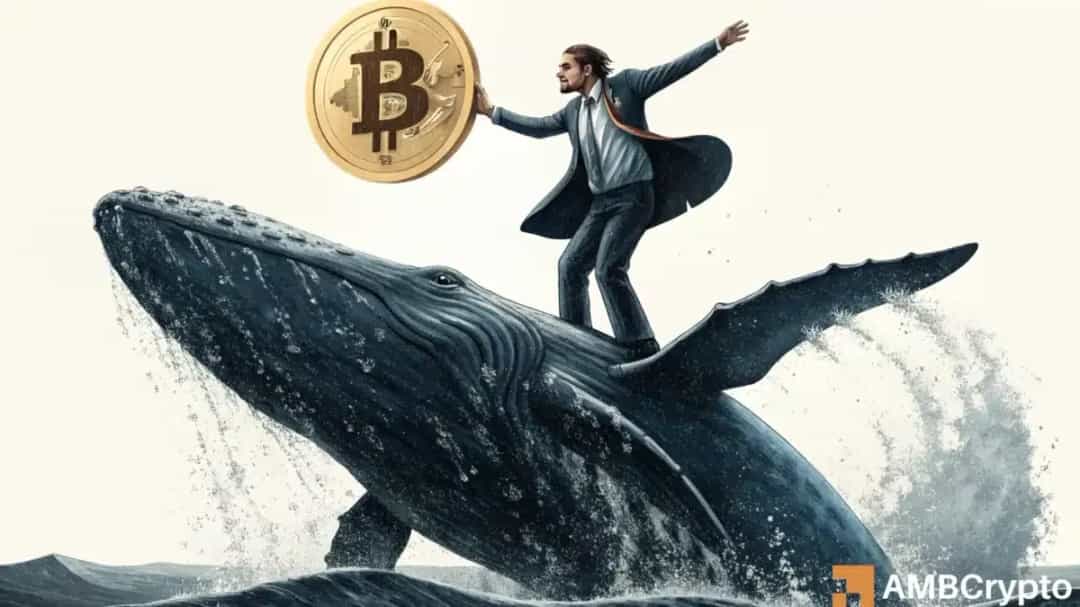 BTC بالای 85K؛ آیا «Buy the Fear» بازگشته است؟