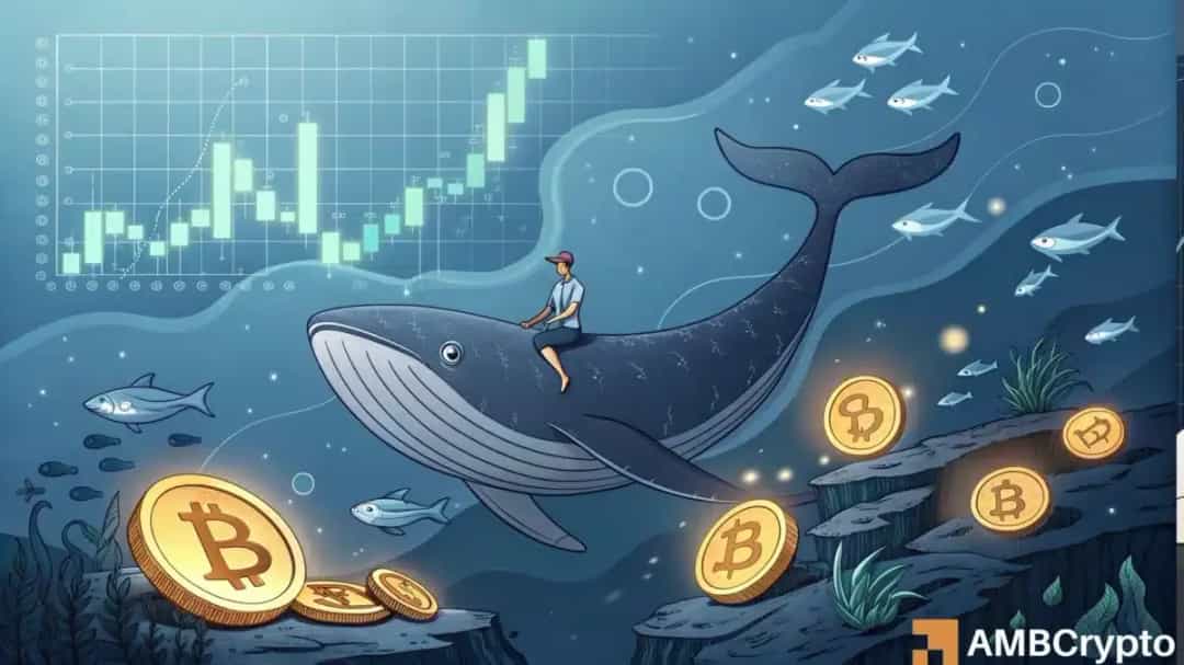 آیا خرید 26 میلیون دلاری نهنگ راه‌گشای عبور بیت کوین از 107 هزار دلار است؟