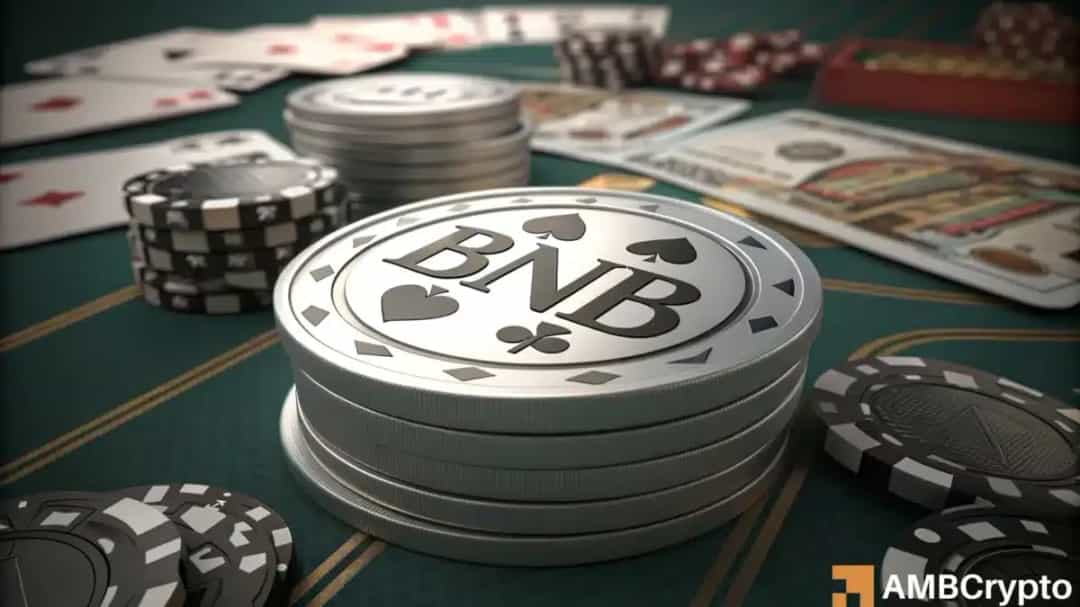 آیا کاهش شدید توسعه‌دهندگان زنجیره بایننس زنگ خطر آینده این شبکه است؟