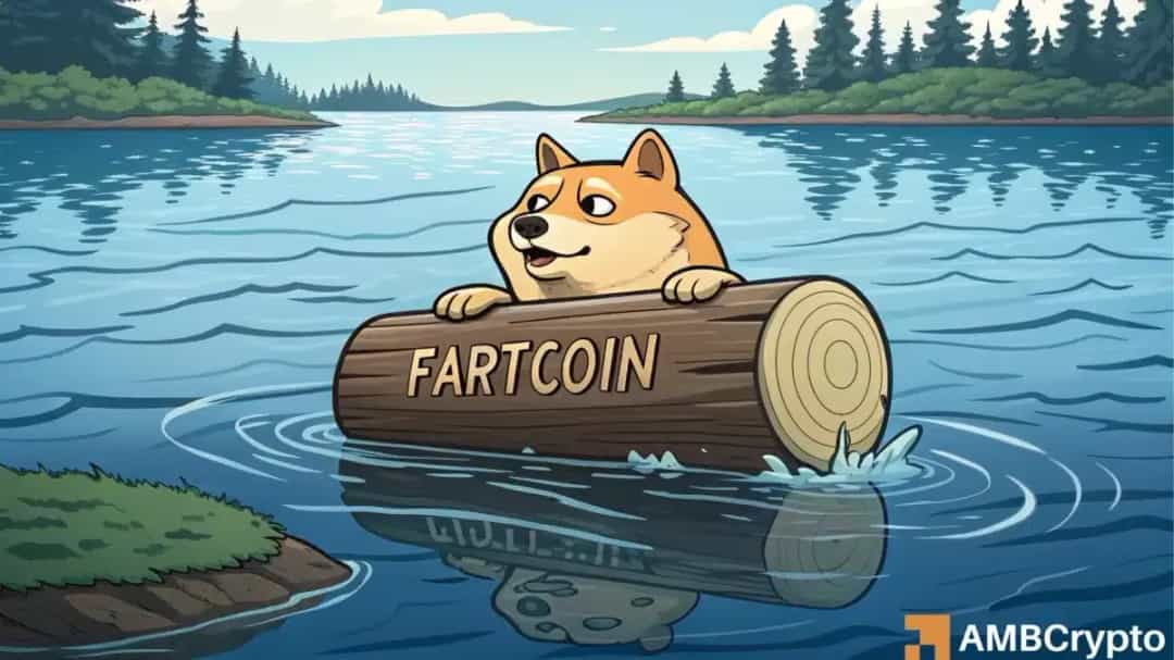 آیا FARTCOIN می‌تواند جای دوج کوین را در بازار میم‌کوین‌ها بگیرد؟
