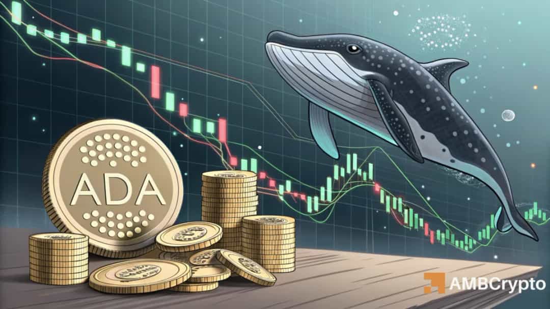 آیا خرید 70M ADA نهنگ می تواند قیمت را بالای $0.90 ببرد؟