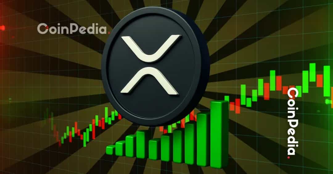 XRP در آستانه ریزش بیشتر — حمایت‌های کلیدی تا کجا؟
