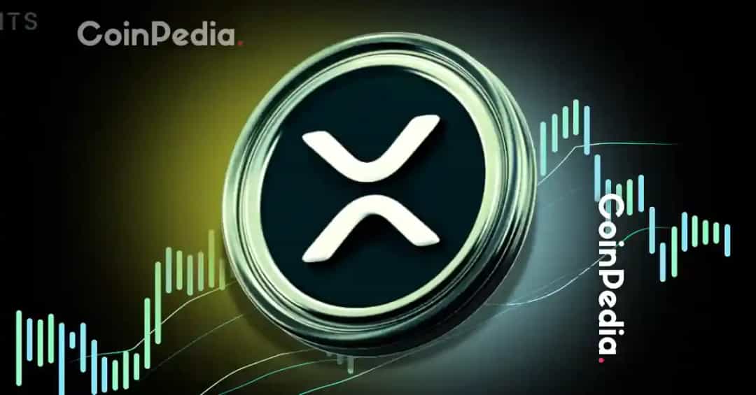 با کمتر از ۷٬۰۰۰ دلار در ۱۰٪ برتر فهرست ثروتمندان XRP باشید
