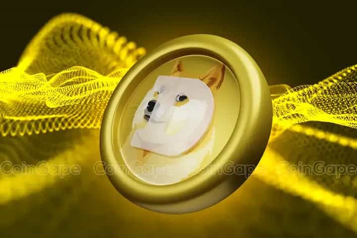 رئیس جدید "DOGE": تأثیر حضور ایلان ماسک در دولت ترامپ بر دوج کوین