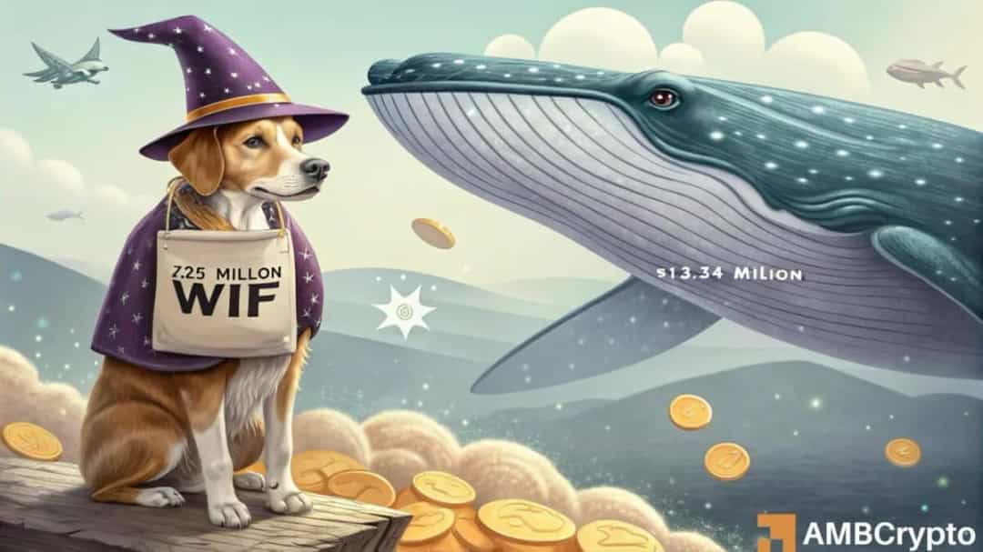 خرید ۱۳ میلیون دلاری نهنگ‌ها نتوانست ریزش قیمت DogWifHat را متوقف کند