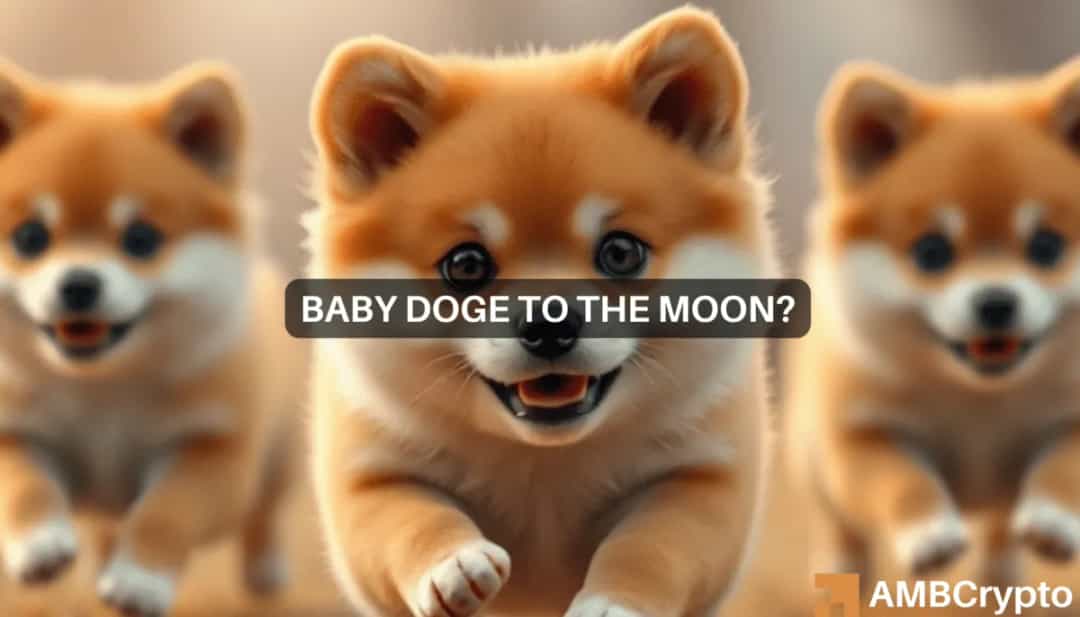 رشد ۸۲ درصدی Baby Doge در ۲۴ ساعت؛ تاثیر ایلان ماسک و تسلط نهنگ‌ها