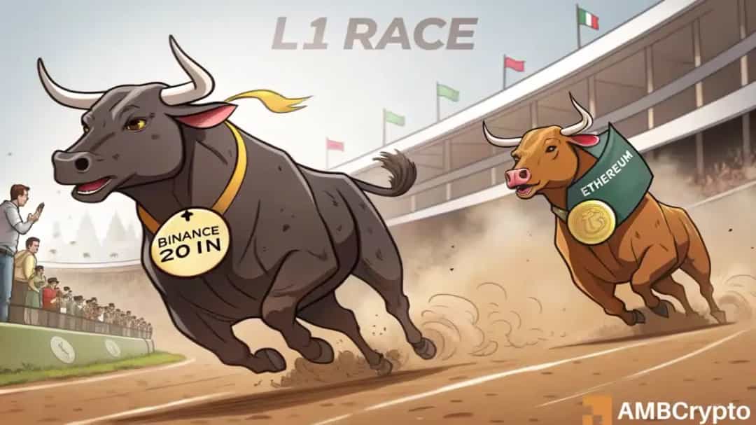 جنگ لایه۱: آیا BNB می‌تواند اتریوم را در ۲۰۲۵ پشت سر بگذارد؟