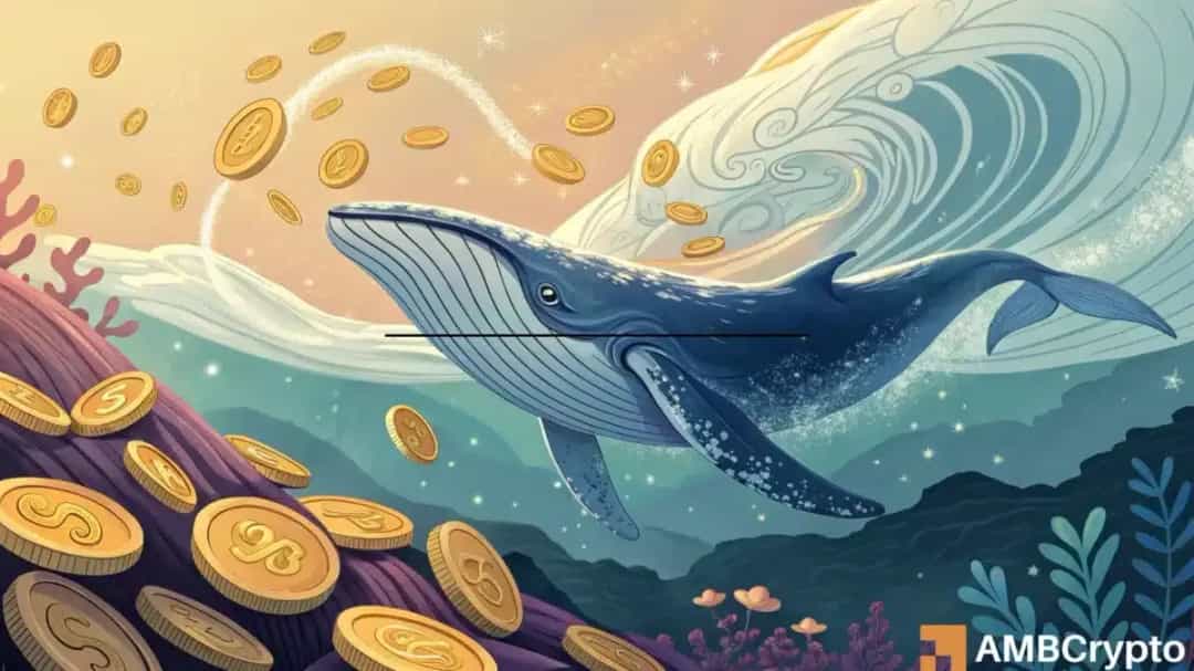 HYPE در Hyperliquid سقف تاریخی زد؛ آیا روند صعودی حفظ می شود؟