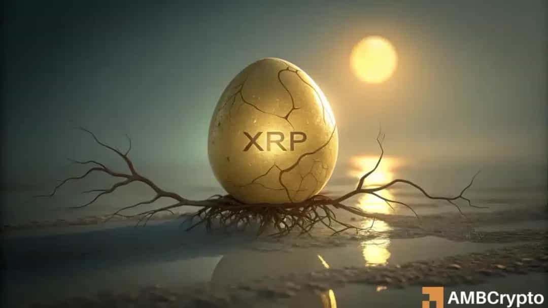 XRP در آستانه جهش؟ تحلیل داده‌ها چه می‌گوید