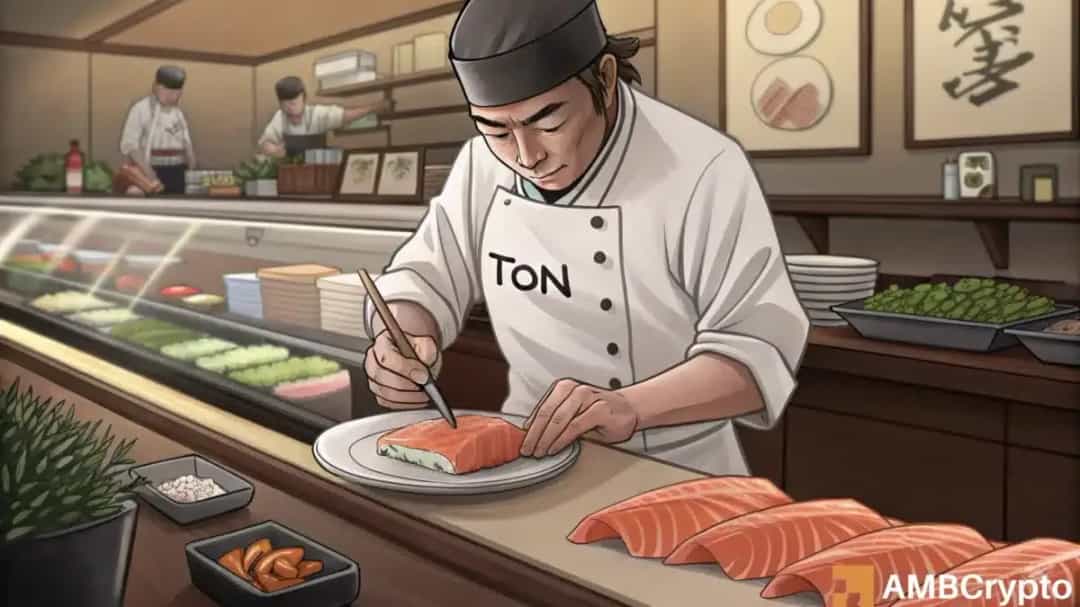 آیا انباشت TON نهنگ ناشناس، سیگنال رشد بزرگ آینده است؟