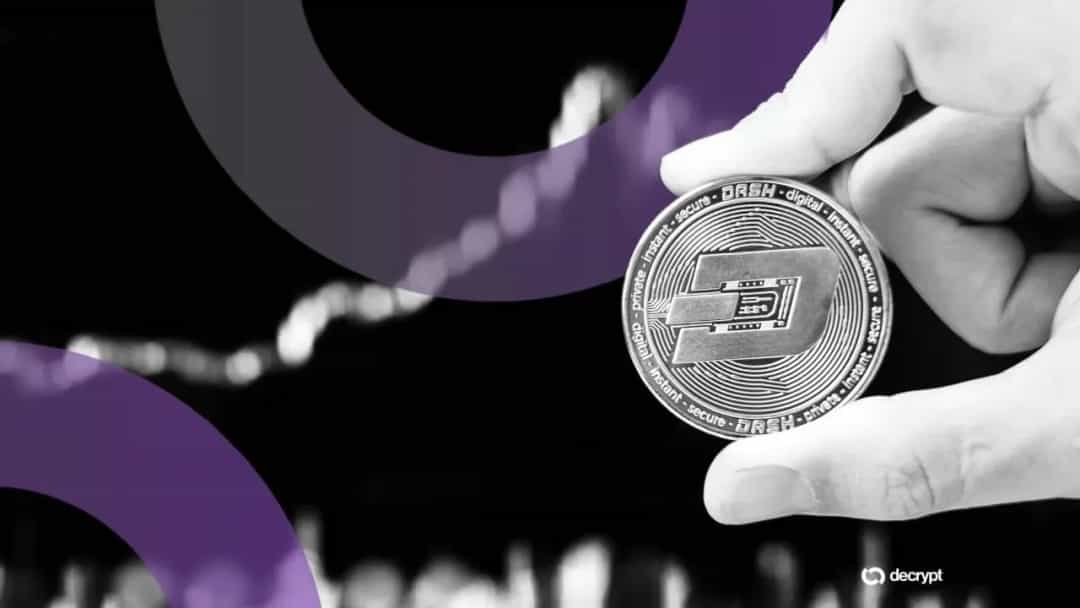 رشد قیمتی سکه های حریم خصوصی؛ ZEC و DASH در مرکز توجه