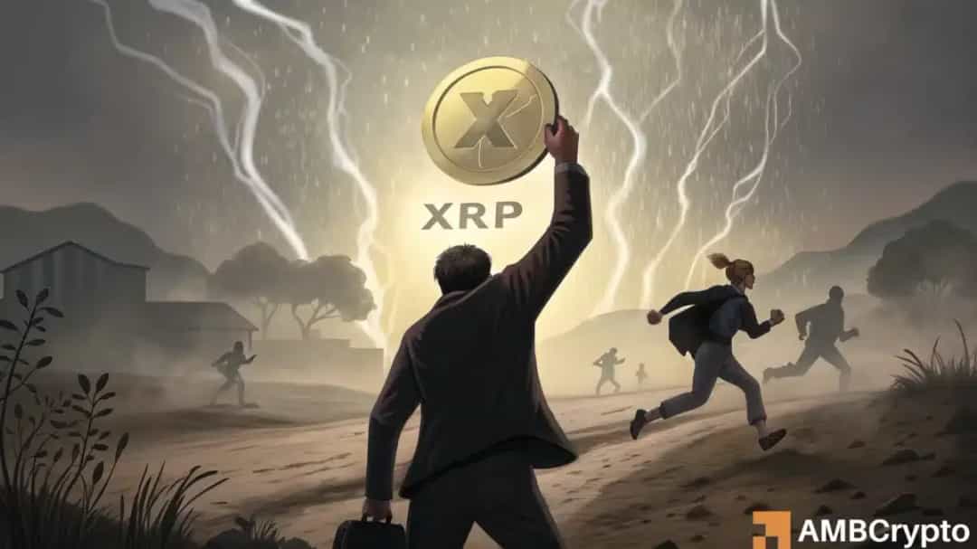 چرا صبر در XRP می‌تواند سود هنگفتی به‌همراه داشته باشد؟