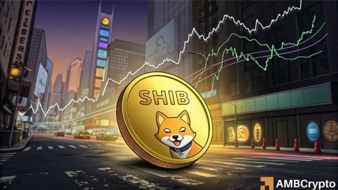 SHIB در الگوی وج نزولی؛ گاوها یا خرس‌ها پیروز می‌شوند؟