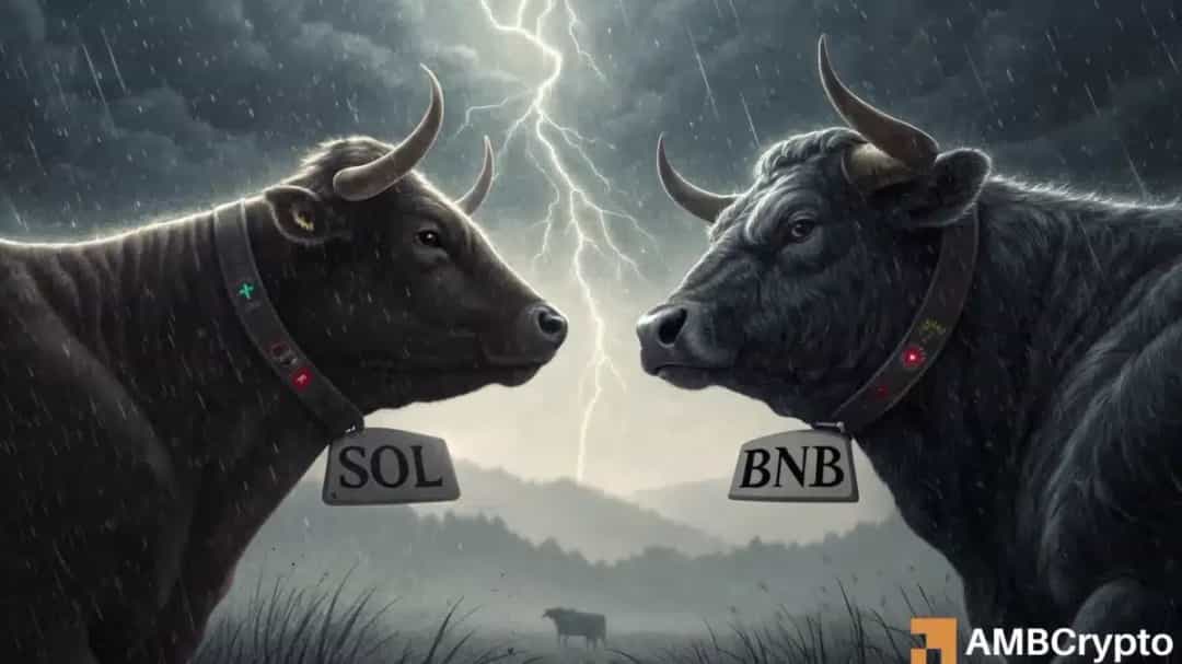 سولانا درصدد کنار زدن BNB در Q4؛ بایننس کوتاه نمی‌آید