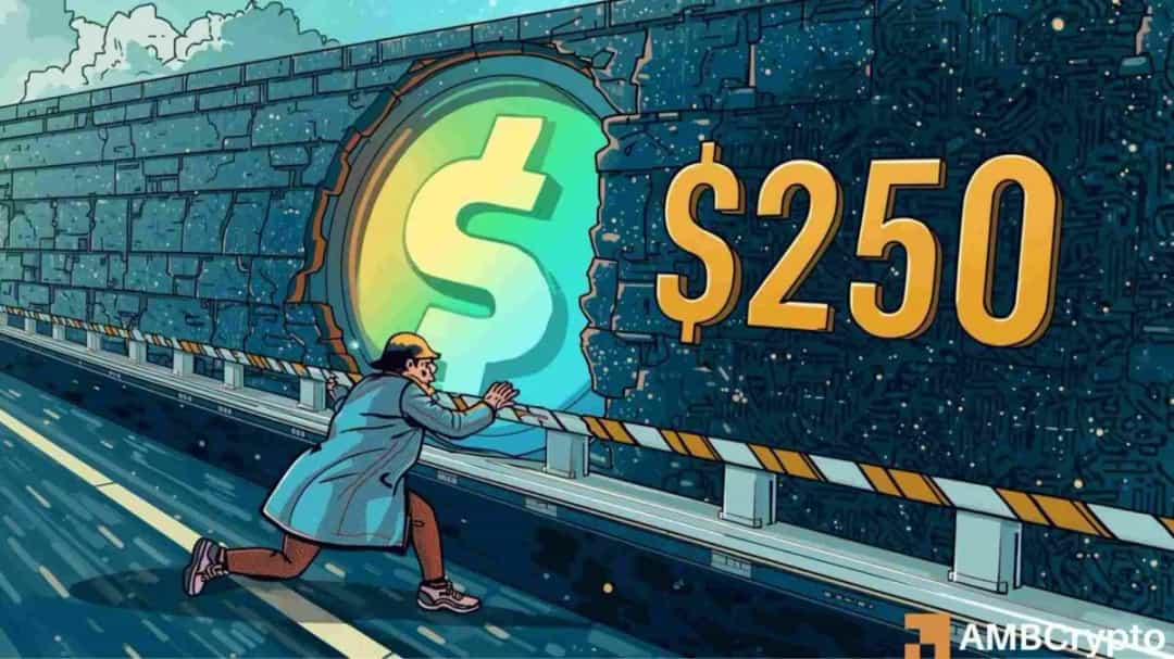 SOL/USDT: چشم دوخته به 250 دلار — حمایت 220 کلیدی