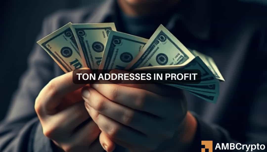 افزایش ۱۰ درصدی Toncoin؛ آیا نهنگ‌ها قیمت را به اوج جدید می‌رسانند؟