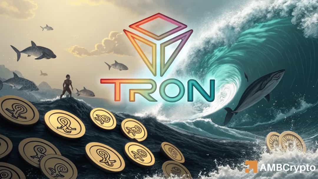 آیا تسلط نهنگ‌ها و اوپن اینترست می‌تواند TRX را به بالای 0.25 دلار برساند؟