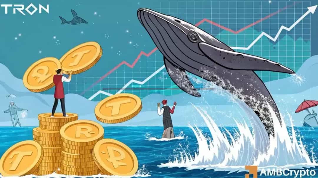 انباشت نهنگ‌ها؛ آیا TRX راه بازگشت تا ۰.۳۶ را دارد؟