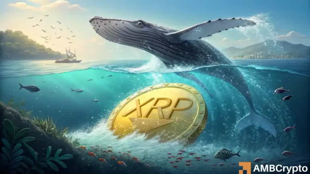 آیا روند صعودی XRP به پایان رسید؟ بررسی دلایل ریزش زیر ۳ دلار