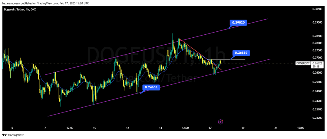 تحلیل دوج کوین ( DOGE/USDT ) امروز 29 بهمن 1403