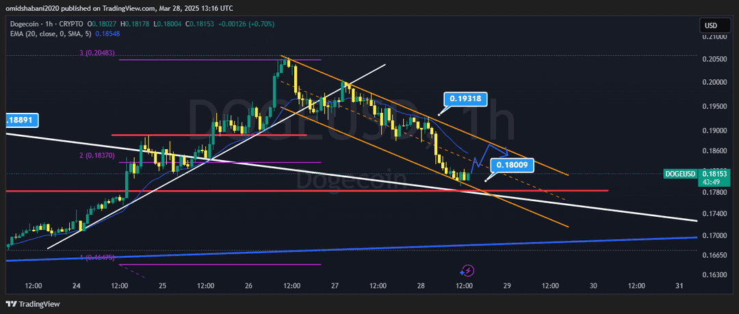 تحلیل دوج کوین ( DOGE/USDT ) امروز 8 فروردین 1404