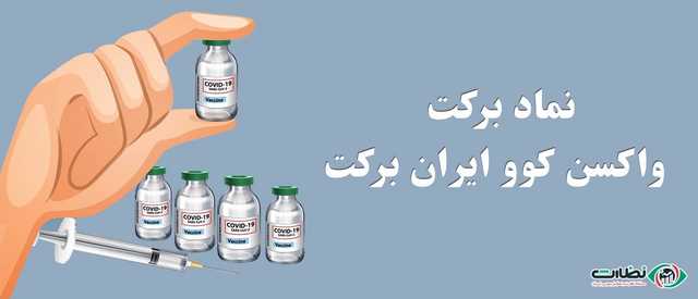 تحلیل و بررسی کامل سهام برکت | آیا برکت بخریم؟