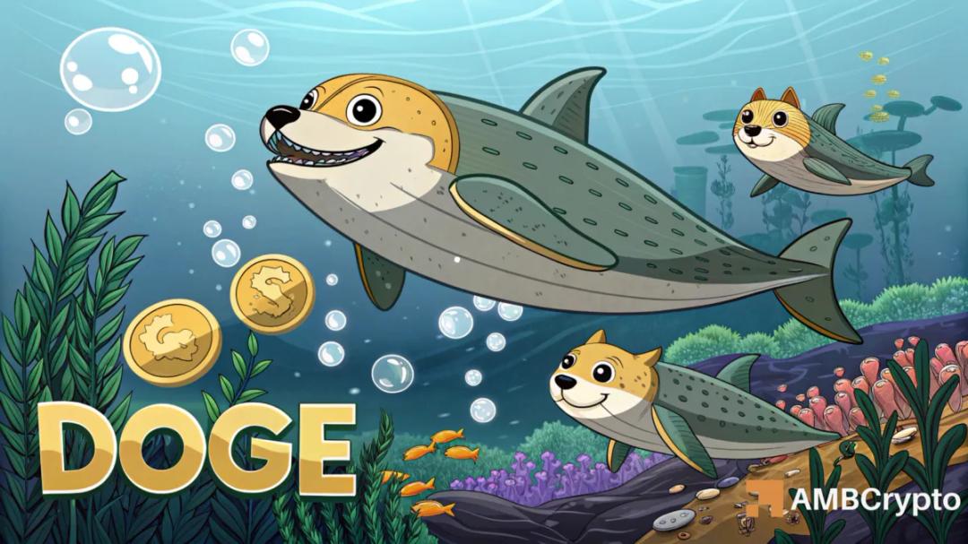 خرید تاریخی نهنگ‌ها: ۵۳۰ میلیون DOGE در آستانه جهش یا سقوط؟