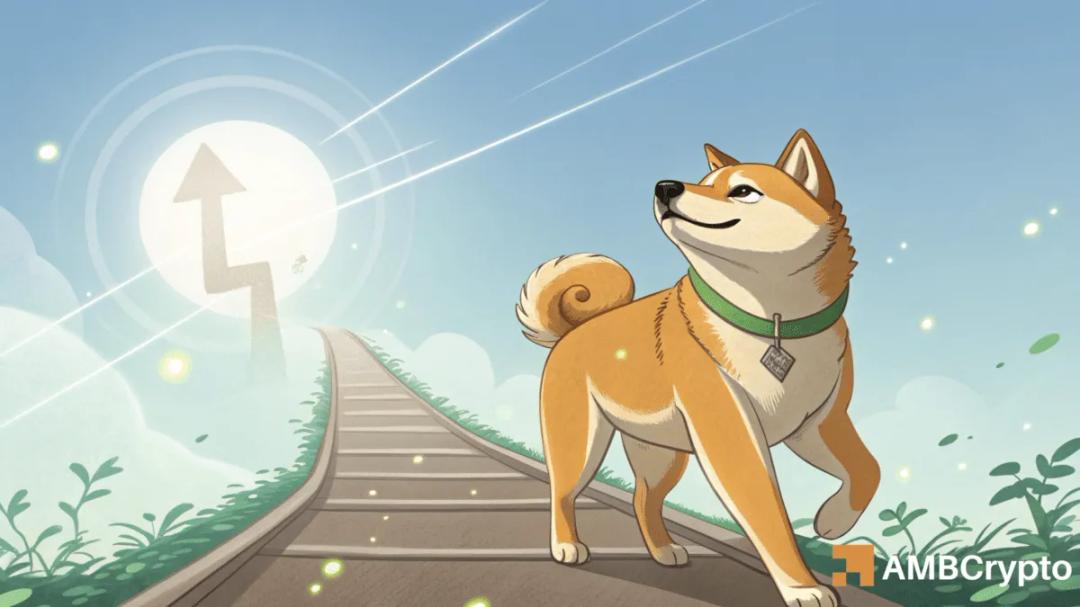 انتقال ۷۹۳ میلیون دوج کوین؛ نهنگی باعث جهش ۱۲ درصدی DOGE شد؟