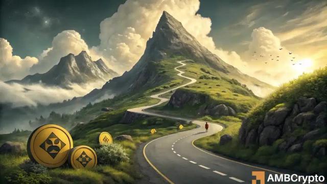 ۸۶٪ دارندگان BNB در سود؛ فرصت خرید یا فاز توزیع؟