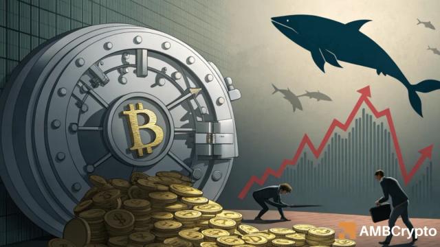 ریزش بیت کوین تا ۱۰۴ هزار دلار؛ آیا ورود سنگین پول راه برگشت را باز می‌کند؟