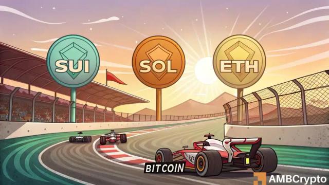 هیجان خرید SUI و SOL در مقابل فروش TRX و XRP؛ بیت کوین در سکون نهنگ‌ها