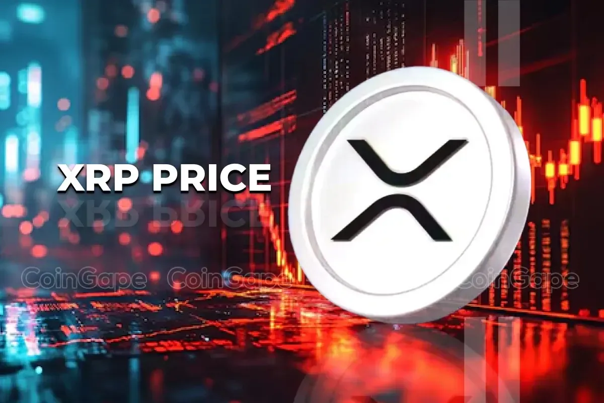 رشد ۳۶۵٪ XRP در ۲۰۲۴؛ آیا صعود به ۱۰ دلار در راه است؟