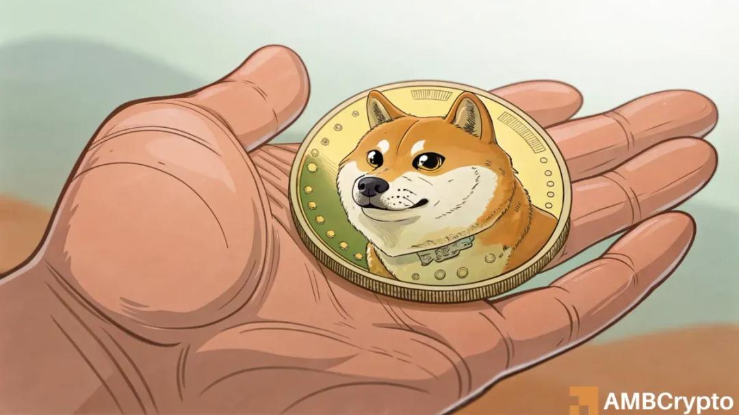 افزایش انفجاری آدرس‌های جدید Dogecoin؛ قیمت در مسیر مخالف