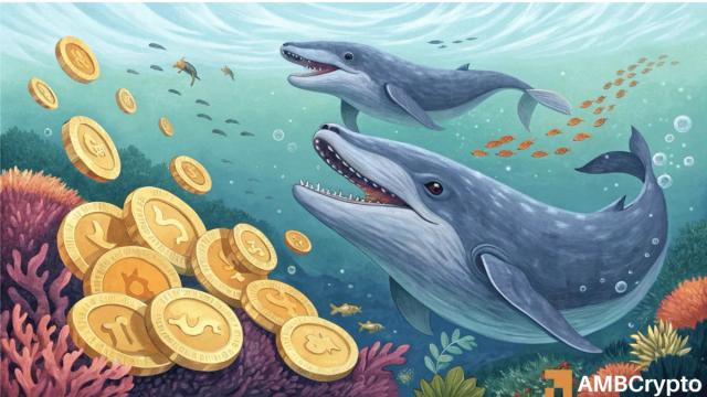 خرید ۱۲۰ میلیون Dogecoin توسط نهنگ‌ها؛ نشانه صعود یا سقوط؟