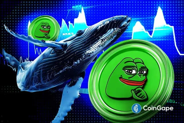 آیا پپه کوین به سقف قیمت رسیده؟ افت شدید معاملات نهنگ‌ها و هشدار اصلاح