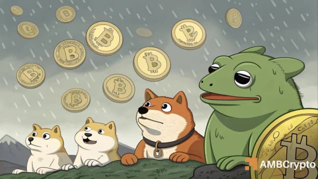 آیا هیجان میم کوین‌ها تمام شده؟ چشم‌انداز DOGE و بازار