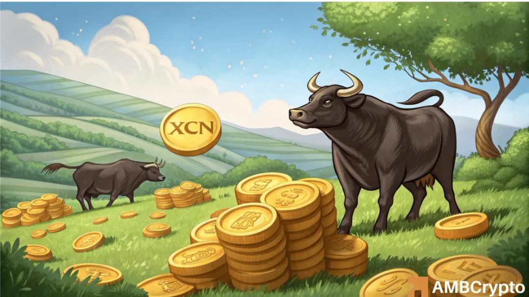 صعود انفجاری Onyxcoin؛ آماده جهش بزرگ قیمت؟