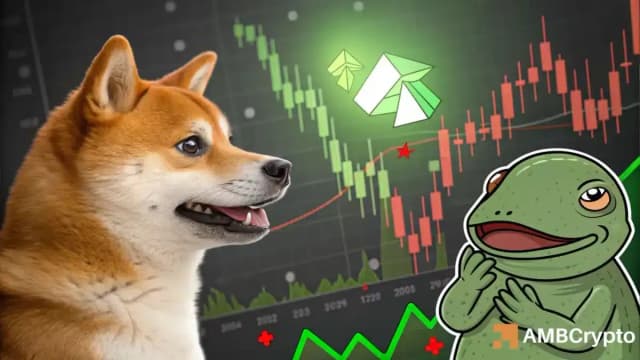 SHIB/USDT یا PEPE/USDT: کدام میم کوین پیشتاز است؟