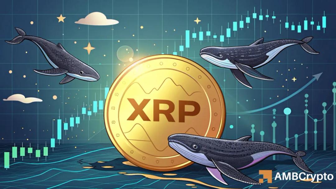 واکنش قیمت XRP به انتقال ۶۴ میلیون دلاری نهنگ ریپل