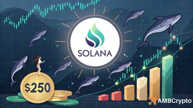 رکورد ورودی به ETF استیکینگ سولانا؛ هدف ۲۵۰ دلار برای SOL