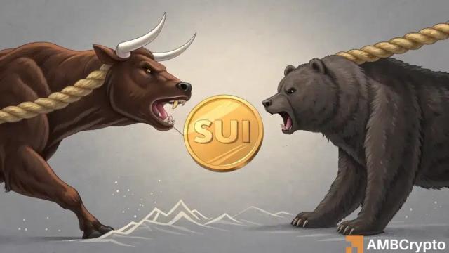 SUI پس از جهش ۶۳ درصدی؛ آیا می‌تواند صعودش را حفظ کند؟