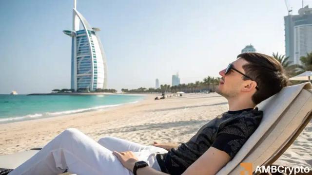 رشد ۲۰ درصدی معاملات تون کوین؛ نهنگ‌ها در حال انباشت