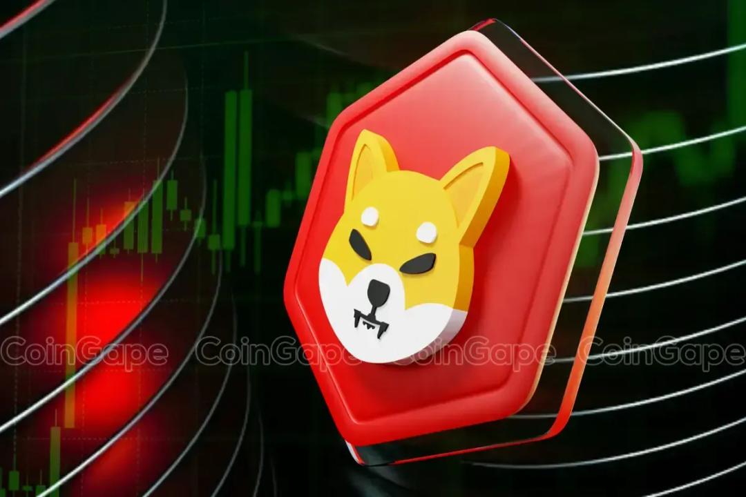 سقوط شیبا در سایه میم کوین‌های جدید؛ کاهش ۳۳ درصدی در راه؟